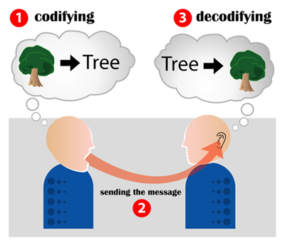 the talking heads model of communication transfer
